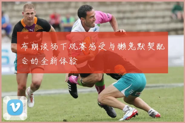 布朗谈场下观赛感受与獭兔默契配合的全新体验