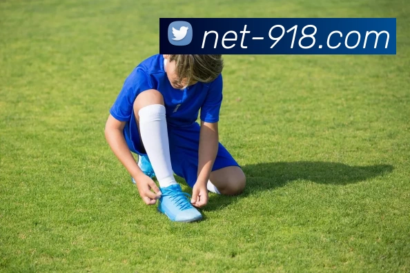 918博天堂APP 封面图